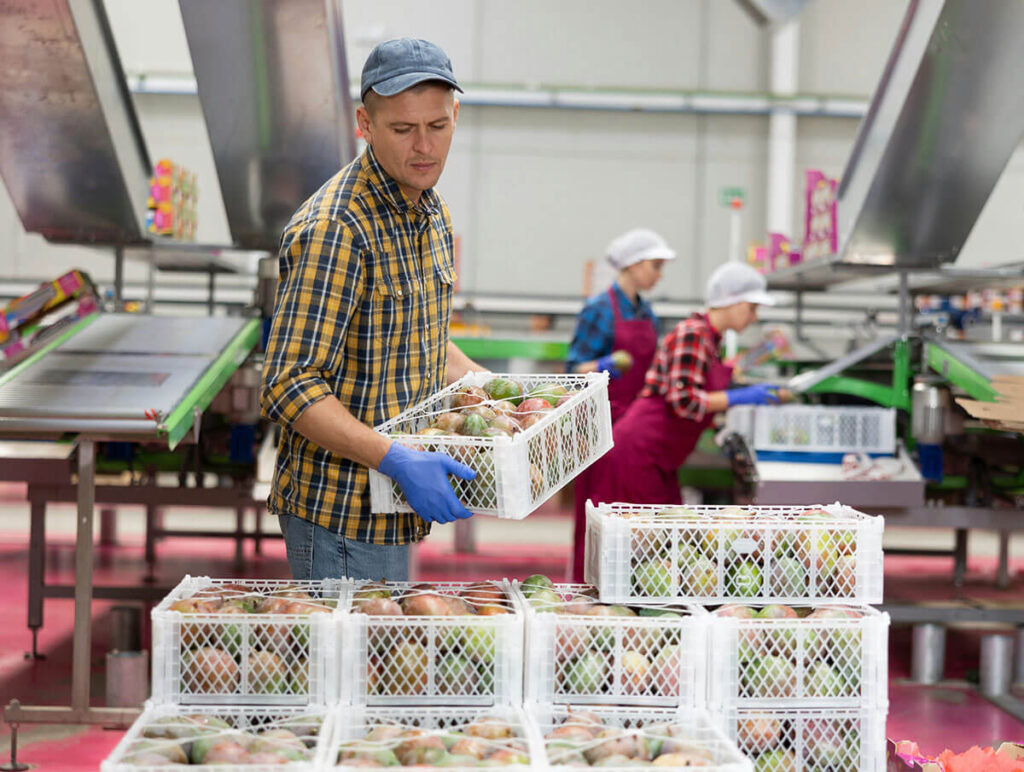 Man picking up crates of fruit.