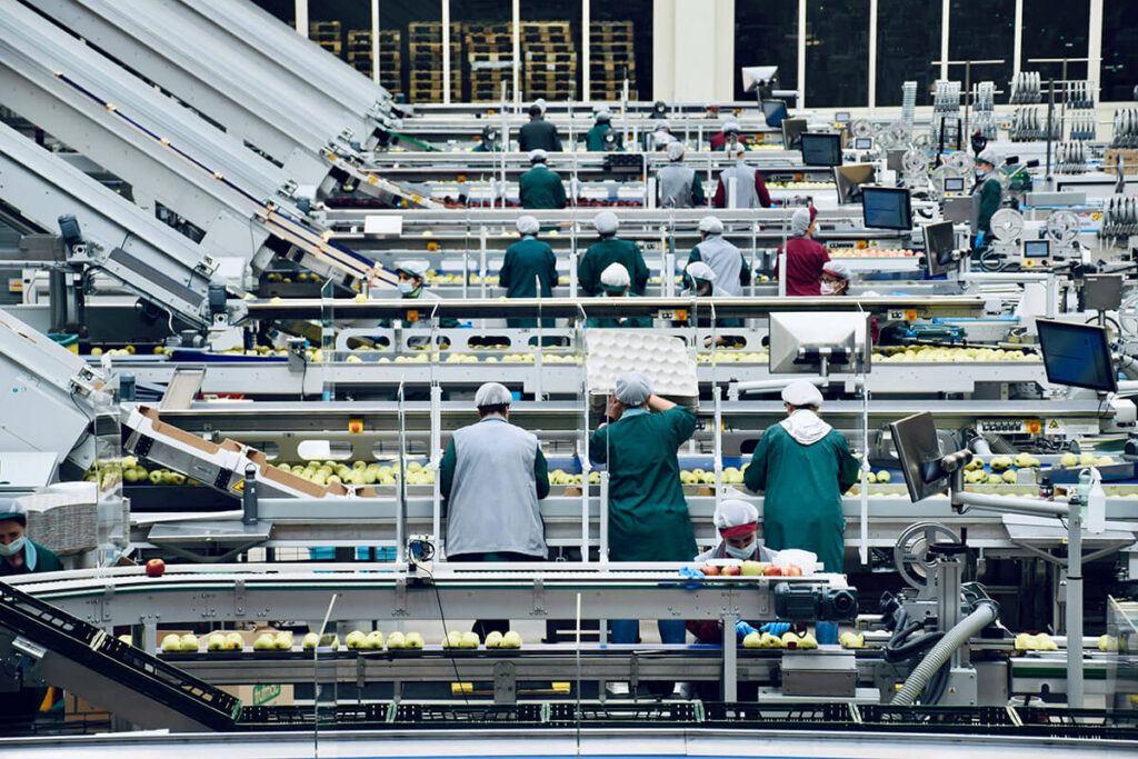 Several rows of people working to package food.